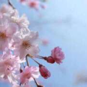 ヒメ日記 2026/04/16 14:21 投稿 みはや X-PARTY