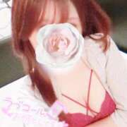 ヒメ日記 2025/02/19 18:15 投稿 のの BAD COMPANY（バッドカンパニー）