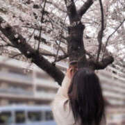 ヒメ日記 2025/04/04 12:16 投稿 のの BAD COMPANY（バッドカンパニー）