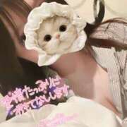 ヒメ日記 2025/05/02 18:36 投稿 のの BAD COMPANY（バッドカンパニー）