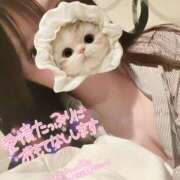 ヒメ日記 2025/05/31 22:30 投稿 のの BAD COMPANY（バッドカンパニー）