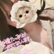 ヒメ日記 2025/06/15 12:00 投稿 のの BAD COMPANY（バッドカンパニー）