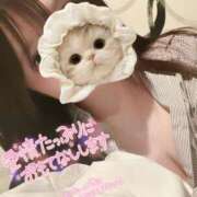 ヒメ日記 2025/06/27 19:34 投稿 のの BAD COMPANY（バッドカンパニー）