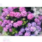 ヒメ日記 2025/07/03 17:31 投稿 のの BAD COMPANY（バッドカンパニー）