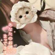 ヒメ日記 2025/08/12 12:16 投稿 のの BAD COMPANY（バッドカンパニー）