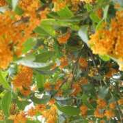 ヒメ日記 2025/10/14 07:40 投稿 のの BAD COMPANY（バッドカンパニー）