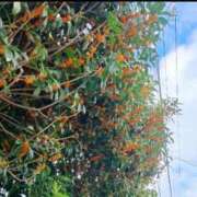 ヒメ日記 2025/10/24 07:15 投稿 のの BAD COMPANY（バッドカンパニー）