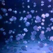 ヒメ日記 2025/10/30 12:16 投稿 のの BAD COMPANY（バッドカンパニー）