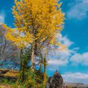 ヒメ日記 2025/11/03 12:16 投稿 のの BAD COMPANY（バッドカンパニー）