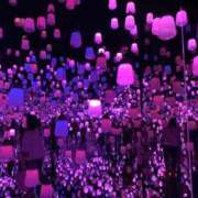 ヒメ日記 2025/11/08 12:16 投稿 のの BAD COMPANY（バッドカンパニー）