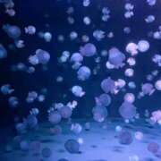 ヒメ日記 2026/01/19 12:03 投稿 のの BAD COMPANY（バッドカンパニー）