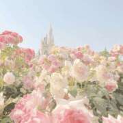 ヒメ日記 2026/01/24 11:31 投稿 のの BAD COMPANY（バッドカンパニー）