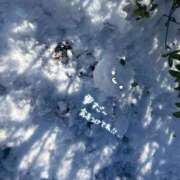 ヒメ日記 2026/02/09 10:32 投稿 のの BAD COMPANY（バッドカンパニー）