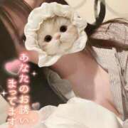 ヒメ日記 2026/04/24 07:30 投稿 のの BAD COMPANY（バッドカンパニー）