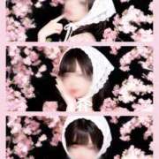 ヒメ日記 2026/05/09 09:30 投稿 のの BAD COMPANY（バッドカンパニー）