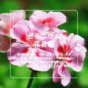 ヒメ日記 2026/05/26 12:33 投稿 のの BAD COMPANY（バッドカンパニー）