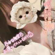 ヒメ日記 2026/07/01 09:15 投稿 のの BAD COMPANY（バッドカンパニー）
