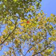 ヒメ日記 2026/10/01 20:16 投稿 のの BAD COMPANY（バッドカンパニー）