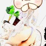 ヒメ日記 2025/03/18 09:56 投稿 ひびき ぷるるん小町 京橋店