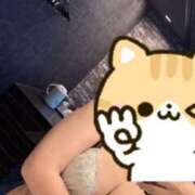 ヒメ日記 2025/10/21 12:31 投稿 ひびき ぷるるん小町 京橋店