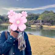 ヒメ日記 2025/04/11 11:35 投稿 香取 人妻風俗チャンネル