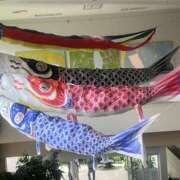 ヒメ日記 2025/04/29 12:21 投稿 香取 人妻風俗チャンネル