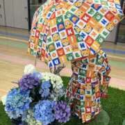 ヒメ日記 2025/06/27 13:44 投稿 香取 人妻風俗チャンネル