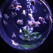 ヒメ日記 2026/02/14 16:02 投稿 香取 人妻風俗チャンネル