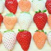 ヒメ日記 2026/02/27 15:30 投稿 香取 人妻風俗チャンネル