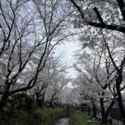 香取 春になりましたね〜 人妻風俗チャンネル