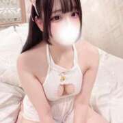 ヒメ日記 2025/02/01 18:15 投稿 つゆ お姉ちゃんゴメンね