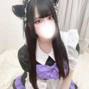 ヒメ日記 2025/02/14 20:42 投稿 つゆ お姉ちゃんゴメンね