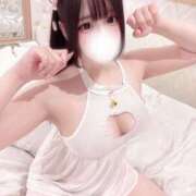 ヒメ日記 2025/02/15 19:33 投稿 つゆ お姉ちゃんゴメンね