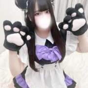 ヒメ日記 2025/03/09 19:15 投稿 つゆ お姉ちゃんゴメンね