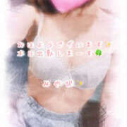 ヒメ日記 2025/12/29 08:48 投稿 雅（みやび） エッチな熟女(熊谷)