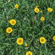 ヒメ日記 2025/08/28 13:53 投稿 みはる【スタンダード】 博多の熟女