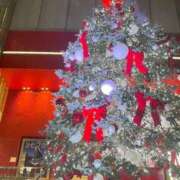 ヒメ日記 2024/12/17 20:24 投稿 岡島 ちえ ベルサイユの薔薇