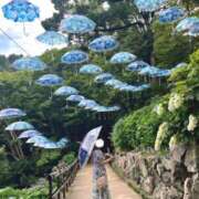 ヒメ日記 2025/07/17 10:17 投稿 つぐみ The White