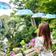 ヒメ日記 2025/07/22 08:21 投稿 つぐみ The White