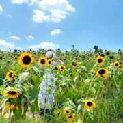 つぐみ まだ夏？ The White