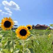 つぐみ やぴ！ The White