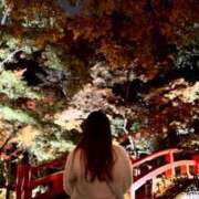 ヒメ日記 2025/12/01 21:47 投稿 つぐみ The White