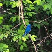 ヒメ日記 2025/05/13 17:39 投稿 黒蝶アゲハ 全裸革命orおもいっきり痴漢電車