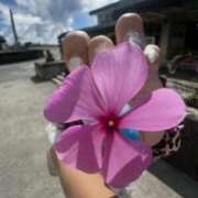 ヒメ日記 2025/11/11 22:17 投稿 黒蝶アゲハ 全裸革命orおもいっきり痴漢電車