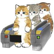 ヒメ日記 2025/01/05 00:49 投稿 かおり カワサキ EROTIC