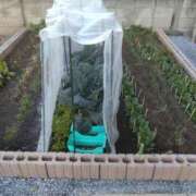 ヒメ日記 2025/01/14 10:31 投稿 かおり カワサキ EROTIC