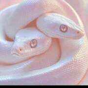 ヒメ日記 2025/01/21 09:24 投稿 かおり カワサキ EROTIC