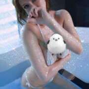 ヒメ日記 2025/03/13 23:27 投稿 かおり カワサキ EROTIC