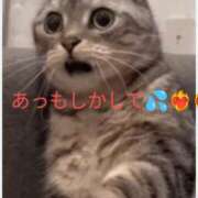 ヒメ日記 2025/03/17 00:25 投稿 かおり カワサキ EROTIC