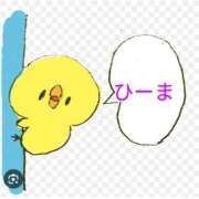 ヒメ日記 2025/03/20 14:35 投稿 かおり カワサキ EROTIC